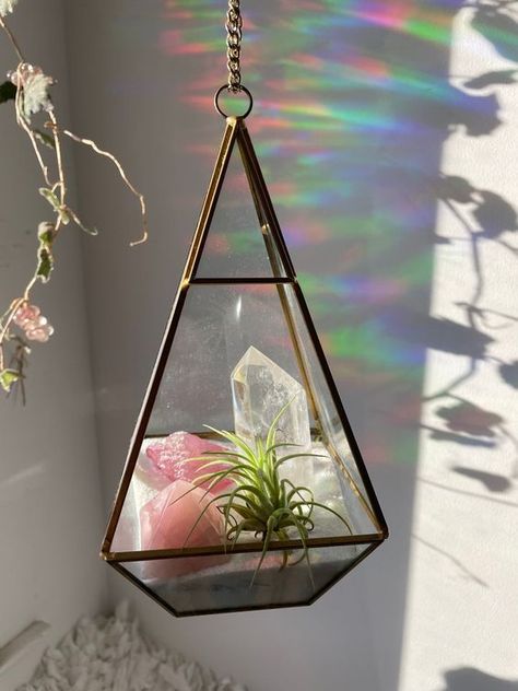 Crystal Room Decor, Hanging Glass Terrarium, Rose Aura, Crystal Room, Hanging Terrarium, Air Plants Care, Crystal Garden, Blank Slate, Garden Terrarium