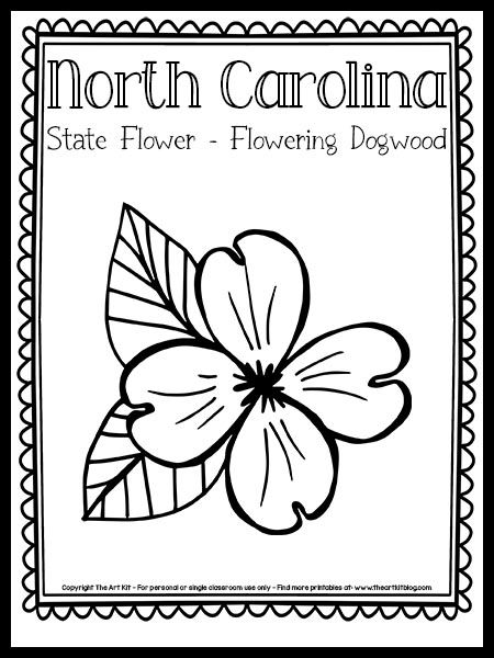 North Carolina State Flower Coloring Page (Flowering Dogwood) {FREE Printable!} - The Art Kit Virginia State Flower, Virginia Tattoo, Geography Printables, Dogwood Flower Tattoos, Flowering Dogwood, State Flowers, Dogwood Blooms, North Carolina Art, Camp Activities