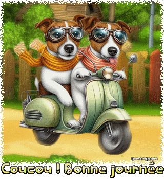 Deux chiens Jack Russel sur un scooter - gif bonne journée Chien Jack Russel, Jack Russel, Good Morning, Affirmations, Gif