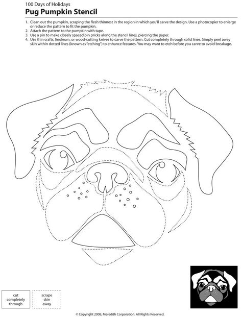 Dogs, Cats, and Other Pets | 22 Downloadable Dog Breed Pumpkin Stencils | POPSUGAR Pets Pug Pumpkin, Dog Stencil, Carving Templates, Pumpkin Stencils, Pumpkin Cutouts, Halloween Stencils, Pumpkin Carving Patterns, Pug Art, Quilting Stencils