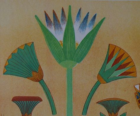 Ancient Egyptian lotus Ancient Egyptian Lotus, Egyptian Art Drawing, Egyptian Lotus Flower, Egyptian Lotus, Egyptian Drawings, Egypt Design, Architectural Ornamentation, Egyptian Motifs, Egyptian Design