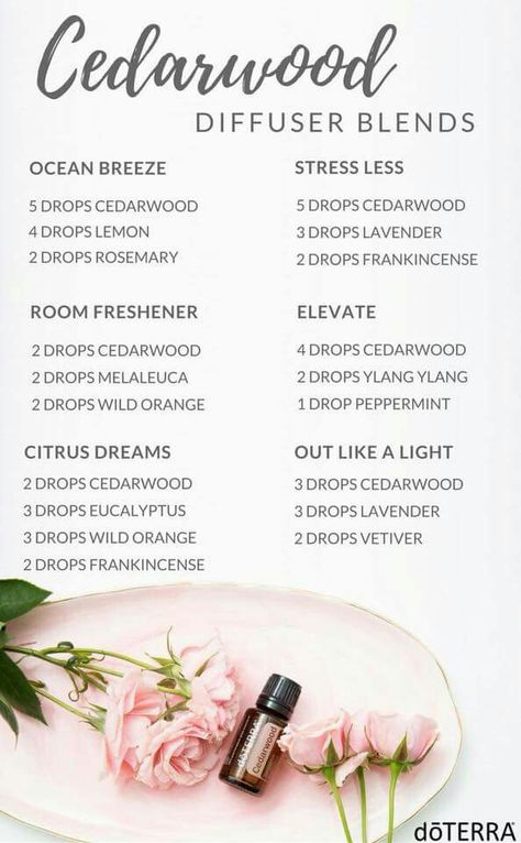 Cedarwood Essential Oils Diffuser Blends ••• Buy dōTERRA essential oils online at www.mydoterra.com/suzysholar, or contact me suzy.sholar@gmail.com for more info. Doterra Diffuser Blends, Doterra Essential Oils Recipes, Essential Oil Diffuser Blends Recipes, Young Living Essential Oils Recipes, Diy Kosmetik, Essential Oil Diffuser Recipes, Oil Diffuser Recipes, Cedarwood Oil, Essential Oil Blends Recipes