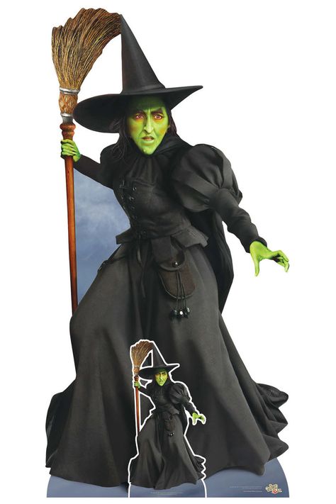 The Wicked Witch Of The West, Wonderful Wizard Of Oz, Wicked Witch Of The West, Witch Of The West, The Wonderful Wizard Of Oz, Cardboard Cutouts, Deco Originale, Cardboard Cutout, Hens Night