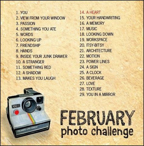 February Photo Challenge February Photo Challenge, Photo A Day Challenge, Photo Prompts, Instagram Challenge, Monthly Photos, Photography Challenge, Photography Lessons, Photo A Day, Photo Projects