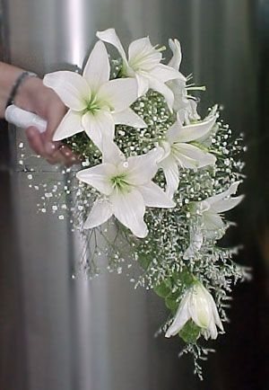 Romantic Wedding Colors, Cascading Wedding Bouquets, White Tutu, Lily Wedding, Bridal Bouquet Flowers, Lily Bouquet, White Wedding Bouquets, Bride Bouquets, Wedding Deco