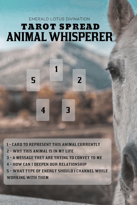 Tarot Spread - Animal Whisperer — Emerald Lotus Divination Animal Whisperer, Oracle Card Spreads, Tarot Reading Spreads, Learning Tarot Cards, Tarot Card Spreads, Tarot Tips, Tarot Spread, Tarot Astrology, Oracle Tarot