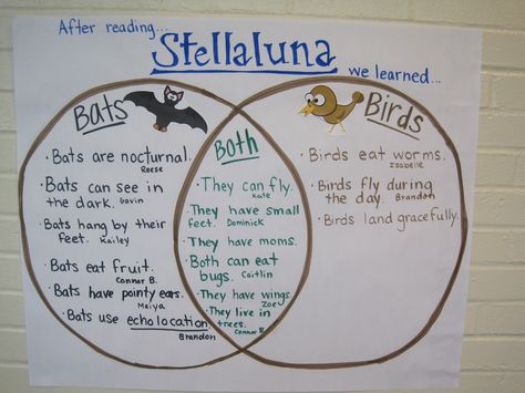 Higher order thinking done after reading "Stellaluna". Comparing and contrasting bats and birds. Stellaluna Compare And Contrast, Stellaluna Book, Bat Lessons, Reading 1st Grade, Stellaluna Activities, Safari Theme Classroom, Anchor Charts First Grade, Bats Unit, October Classroom