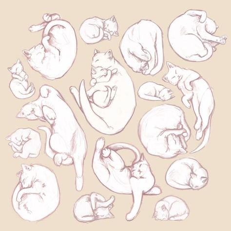 Anime Cat Sleeping, Deviantart Anime, Sleeping Drawing, Back Drawing, Sleeping Cats, Cat Drawing Tutorial, Kitten Drawing, Cat Anatomy, Cat Sketch