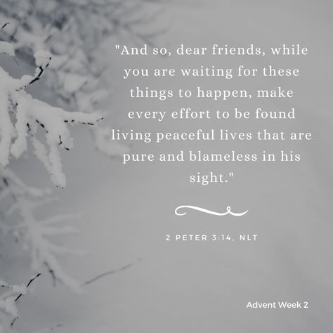 Advent Week 2 Peace, 2 Peter 3, 2 Peter, Inspiring Things, Peaceful Life, Bible Words, Daily Bible, Bible Stories, Verse Of The Day