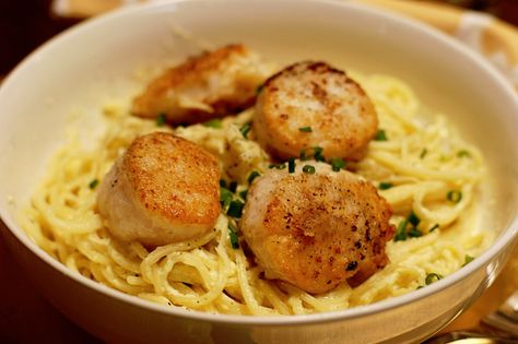 Pasta Alfredo with Seasoned Scallops – Rosemarie's Kitchen Scallop Alfredo Pasta Recipe, Fettucine Alfredo Recipe, Bay Scallops, Holiday Buffet, Baked Scallops, Pasta Recipes Alfredo, Pan Seared Scallops, Quick Pasta, Seared Scallops