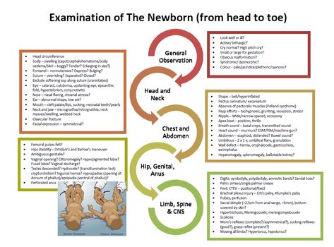 Examination of Newborn (Part 1) | House Officers Workshop ... Nicu Nurse Education, Newborn Assessment, Neonatal Nursing, Nclex Tips, Science Diy, Newborn Nursing, Postpartum Nursing, Nursery Nurse, Child Nursing