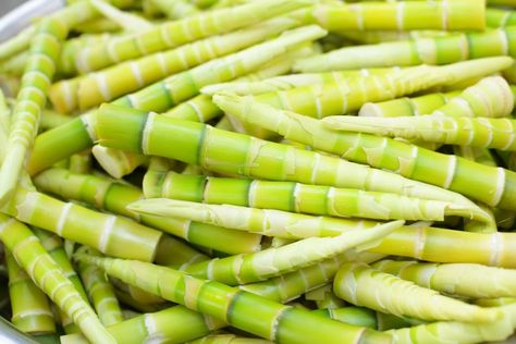 Which Bamboo Species are Edible? - Lewis Bamboo Curly Hair Healthy, Bamboo Species, Bamboo Rice, Best Coconut Oil, Golden Bamboo, Edible Wild Plants, Bamboo Plant, Natural Curly Hair, Bamboo Shoots