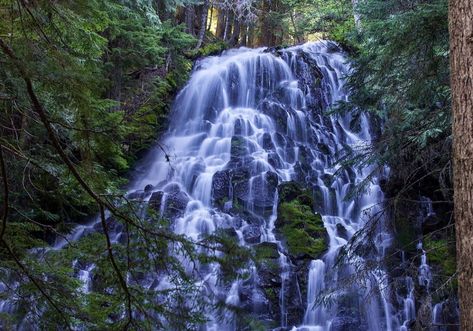 Ramona Falls Trailhead Waterfalls In Oregon, Ramona Falls, Picnic Outdoor, Oregon Waterfalls, Mount Hood, Beautiful Waterfalls, Travel Inspiration, Oregon, Most Beautiful