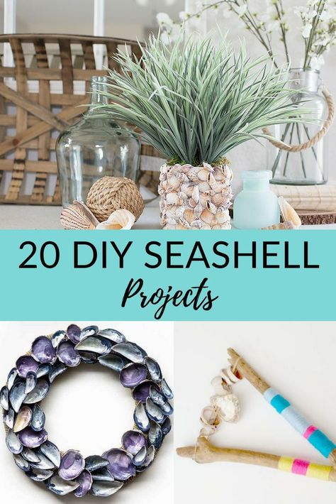 Do you spend your summer beach vacation collecting seashells and looking for sea glass? Here are some great ideas on what to do with all those collected shells. All you need is a seashell or sand dollar, a hot glue gun, and your imagination. #diy #diydeco Diy Seashell Crafts, Sea Shells Diy, Beach Themed Crafts, Diy Beach Decor, Seashell Projects, Shells Diy, Shell Crafts Diy, Sea Shell Decor, Beach Diy