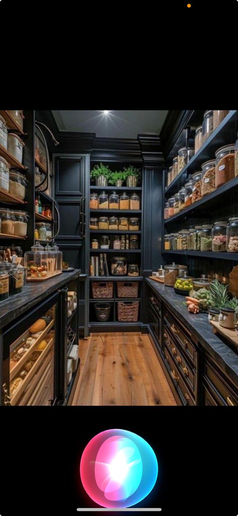 Black Kitchen Counters, Moody Pantry, Dark Pantry, Butlers Pantry, Dark Cottagecore, Butler's Pantry, Black Kitchens, Kitchen Counter, Pantry