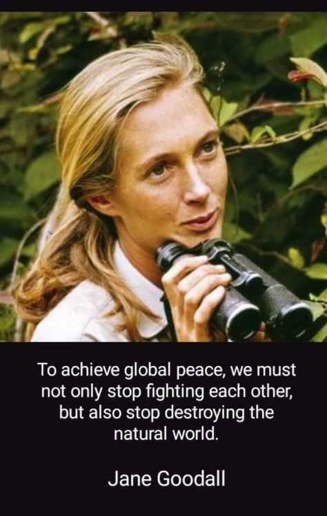 Jane Goodall Costume, Jane Goodall Quote, Jane Goodall Quotes, Jane Goodall, Quote Board, Women In History, Inspirational Women, Quotable Quotes, Food For Thought