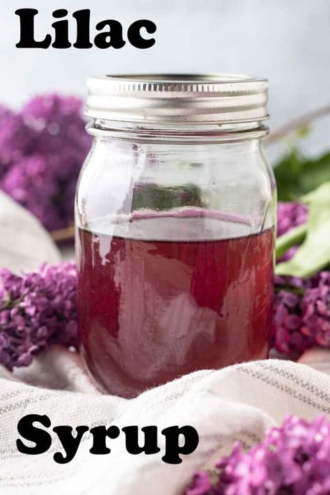 Lilac Simple Syrup is incredibly easy and a great way to use lilacs. Make all of your favorite summer cocktails. Lilac Simple Syrup, Tomato Bites, Lilac Syrup, Stuffed Tomato, Vinegar Cucumbers, Floral Dessert, Simple Sugar, Black Tea Bags, Water Bath Canning