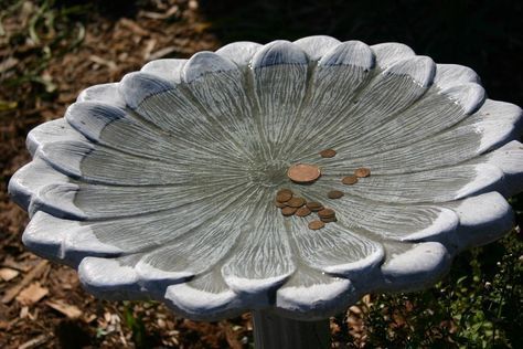 Prevent alege from growing in your birdbath with copper pennies (pre 1982 pennies) Diy Birdbaths, Copper Pennies, Timothy Green, Idea Box, Have Inspiration, Lawn And Garden, Outdoor Projects, Birdhouse, Dream Garden