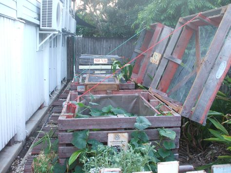 Bed With Pallets, High Rise Bed, Vertical Pallet Garden, Pallet Planter Box, Herb Garden Pallet, 1001 Pallets, Pallet Planter, Plants Growing, Pallet Garden