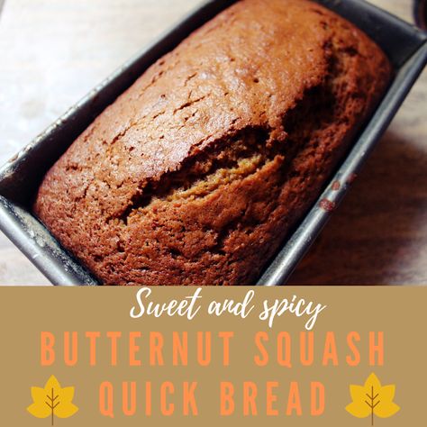 Butternut Squash Quick Bread, Deserts With Butternut Squash, Butternut Squash Bread Recipe, Winter Squash Bread Recipe, Butternut Squash Dessert Recipes, Squash Bread Recipe, Butternut Squash Cookies, Calabaza Recipe, Butternut Squash Cake