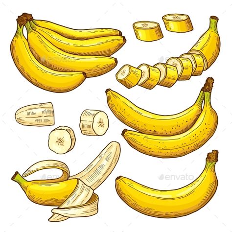 Banana Drawing Simple, Banana Illustration Design, Bananas Drawing, Bananas Illustration, Banana Sketch, Banana Vector, Banana Drawing, Banana Illustration, Banana Design