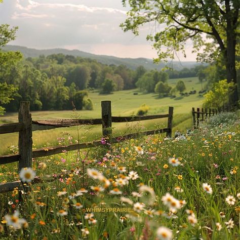 Whimsy Prairie Minecraft Irl, Prairie Aesthetic, Countryside Scenery, Spanish Projects, Country Field, Country Things, Random Aesthetic, Anne Shirley, Wildflower Garden