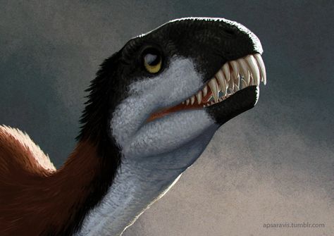 apsaravis: “ Daemonosaurus chauliodus Another quick work in Photoshop and another Triassic dinosaur. ” Dinosaur History, Feathered Dinosaurs, Prehistoric Wildlife, Prehistoric Dinosaurs, Prehistoric World, Ancient Animals, Prehistoric Art, Paleo Art, Extinct Animals