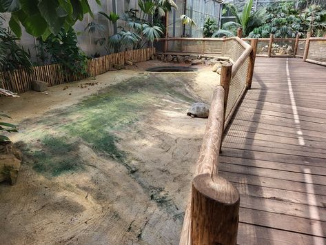 Giant Tortoise Enclosure, Tortoise Enclosure, Galapagos Tortoise, Giant Tortoise, Tortoise, Planets, Quick Saves