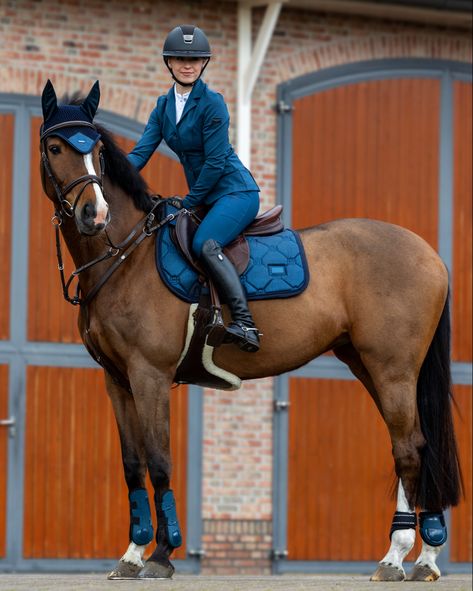 Dressage Fashion, Equestrian Dressage, Horse Riding Quotes, Horseback Riding Outfits, Show Jumping Horses, Horse Riding Clothes, English Horse, Horse Fashion, Equestrian Fashion