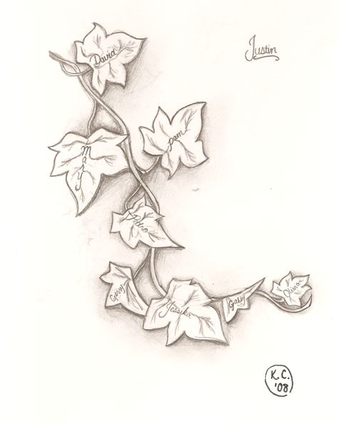 Family names in ivy leaves Poison Ivy Flower Tattoo, Poison Ivy Tattoo Vines, Ivy Leaf Tattoo, Ivy Tattoo Design, Ivy Tattoos, Ivy Sketch, Poison Ivy Vine, Poison Ivy Tattoo, Poison Ivy Leaves