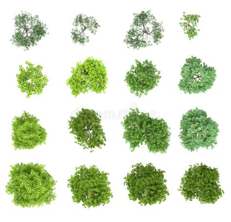 Set of deciduous trees. View from above, for the environment , #ad, #deciduous, #Set, #trees, #environment, #View #ad Tree Plan, View From Above, Green Architecture, Photoshop Textures, Deciduous Trees, Graphic Design Tips, Tree Tops, Architecture Presentation, Landscape Trees