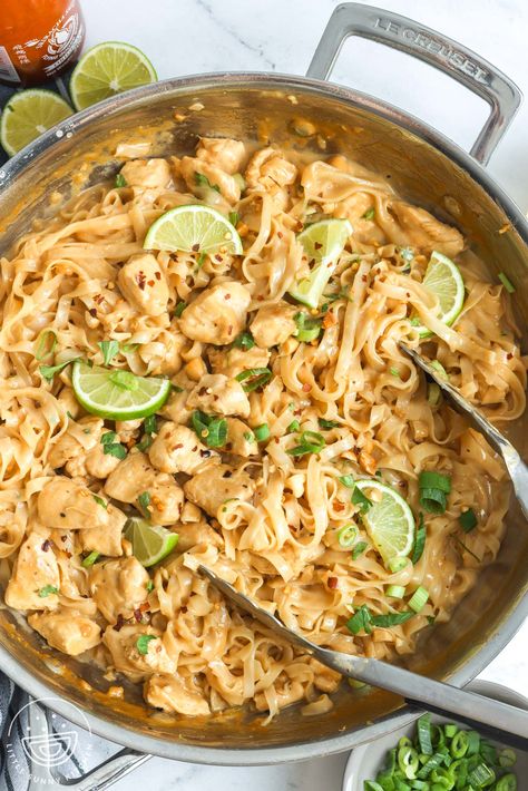 Creamy Peanut Noodles With Chicken, Asian Noodle Recipes Peanut Sauce, Asian Chicken And Noodles Recipe, Thai Peanut Noodles With Chicken, Creamy Peanut Noodles, Thai Peanut Chicken Noodles, Peanut Thai Noodles, Peanut Chicken Pasta, Peanut Noodles With Chicken