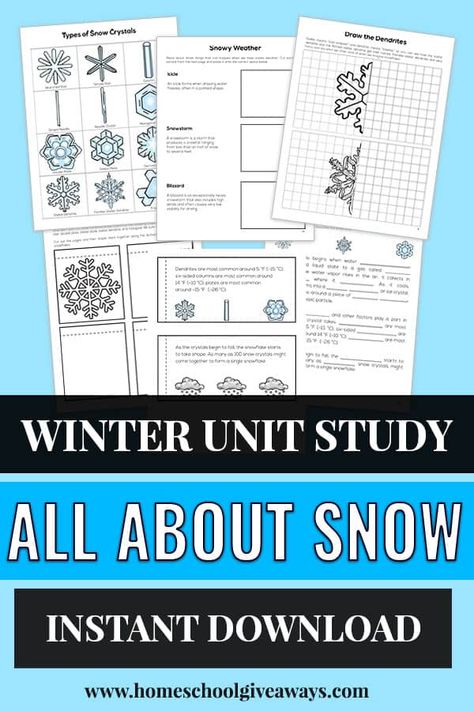 Winter Unit Study, Winter Reading Activities, Winter Break Activities, Science Unit Studies, Winter Science Experiments, Free Kindergarten Printables, Winter Unit, Fun Worksheets For Kids, Winter Activities Preschool