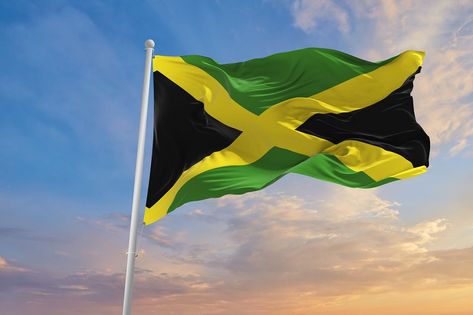 Flag Of Jamaica, Jamaican Flag, Jamaica Flag, Oc Stuff, Flags Of The World, Ceiling Design, Bahamas, The Wind, Jamaica