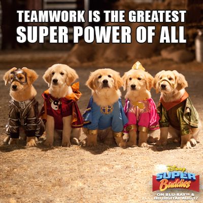 Teamwork is the greatest Super Power of All. Super Buddies, Air Buddies Movies, Spooky Buddies, Buddy Movie, Dog Animation, Talking Dog, Dog Movies, Disney Dogs, Worst Movies