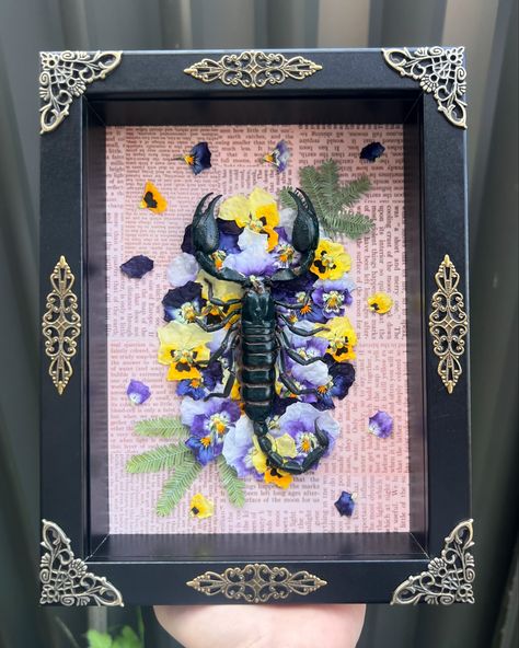 AVAILABLE: Scorpion with Pansies 🌼 . . . #smallbusiness #art #artist #arachnids #scorpion #oddities #curiosities #taxidermy #flowers #odditiesandcuriosities #plants #purple #aesthetic #goblincore #cottagecore #garden #whimsigoth #shadowbox #entomology #bugs Taxidermy Aesthetic, Plants Purple, Cottagecore Garden, White Raven, Goblin Core, Arachnids, Green Witch, Purple Aesthetic, Taxidermy