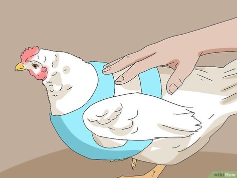 How to Make a Chicken Harness: 11 Steps (with Pictures) - wikiHow Clothes For Chickens, Chicken Farm Ideas, Chicken Raising Ideas, Chicken Harness, Chicken Clothes, Dog Friendly Garden, Conure Bird, Chicken Accessories, Pet Store Ideas