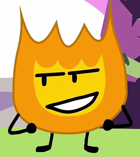 Firey Bfb, Firey Bfdi, I Dont Have Friends, Photo Dump, Profile Picture, Favorite Tv Shows, Memes, Art