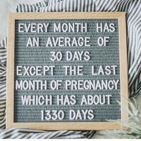 Pregnancy Memes | POPSUGAR Moms Last Month Of Pregnancy Humor, Quotes About Pregnancy, Last Month Of Pregnancy, Felt Board Quotes, Baby Humor, Pregnancy Memes, Letterboard Quotes, Pregnancy Problems, Earth Mama