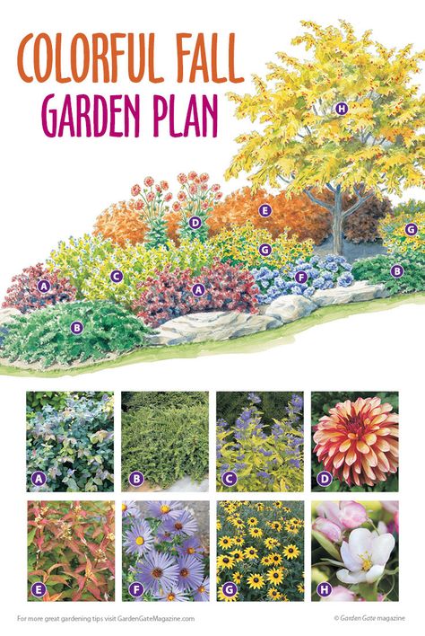 Perennial Garden Plans, Flower Garden Plans, Privacy Landscaping, Vegetable Garden Planning, Garden Plan, Garden Design Plans, Garden Plans, Landscaping Supplies, Fall Garden