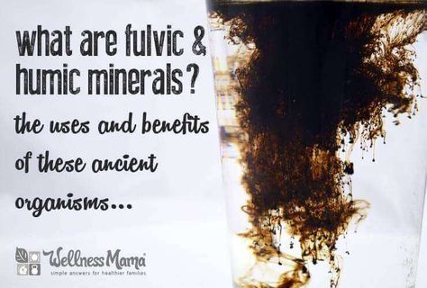 What is Fulvic Acid? Small Intestine Bacterial Overgrowth, Wellness Mama, Humic Acid, Fulvic Acid, Preventive Medicine, Beauty Remedies, Organic Matter, Healthy Families, Holistic Healing