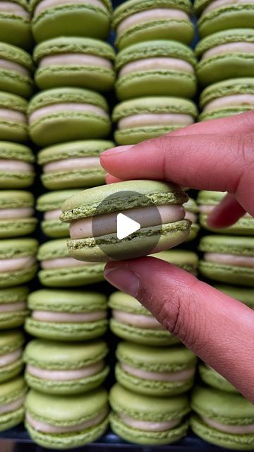 abi | Apple pie macarons 🍏 with cinnamon white chocolate ganache & caramelised granny smith apples

If you only have dark green food colouri... | Instagram Pie Macarons, White Chocolate Ganache, Green Food, Granny Smith Apples, Granny Smith, Greens Recipe, Chocolate Ganache, Green Apple, Apple Pie