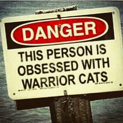 Danger this person is obsessed with Warrior Cats Warrior Cats, Instagram Photo, Water, Instagram