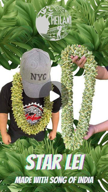 Heilani Productions on Instagram: "🍃STAR LEI🍃 Using Song of India leaves For some very special people . About 4hrs to make a nice thick one . Song of India leaves (Antigonon leptophyllum) have a rich history in Hawaiian culture, dating back to the 19th century.  Introduced by European settlers, the leaves gained popularity among Hawaiian royalty and upper-class citizens due to their striking beauty and unique texture.  They became a staple in Hawaiian lei-making, representing good luck, prosperity, and spiritual growth.  The leaves were used in traditional ceremonies, including weddings and funerals, and were considered a symbol of royal status.  Today, the leaves are still valued in Hawaiian culture, with many modern lei-makers incorporating them into their designs to pay homage to trad Song Of India Lei, Hawaiian Royalty, Lei Diy, Money Lei Diy, Royal Status, Lei Making, Striking Beauty, Hawaiian Lei, Money Lei