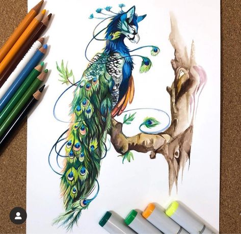 Peacock Cat Hybrid, Peacock Hybrid, Katy Lipscomb, Peacock Dragon, Peacock Human Hybrid, Hybrid Cat, Peacock Tattoo, Wolf Hybrid, Treasure Island