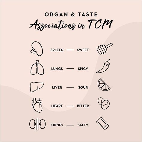 Tcm Nutrition, Chinese Medicine Diet, Eft Technique, Japanese Medicine, Acupuncture Points Chart, Tcm Traditional Chinese Medicine, Occupational Therapy Kids, Therapy Art, Medicine Notes