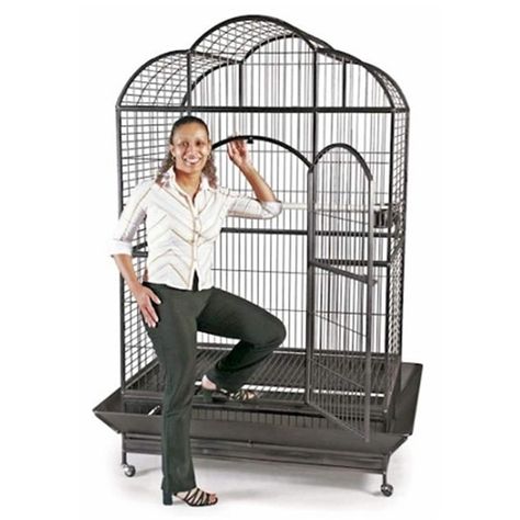 Macaw Cage, Bird Cages For Sale, Large Bird Cages, Parrot Cage, Parrot Toys, Bird Supplies, Parrot Bird, Bird Cages, Pet Bird