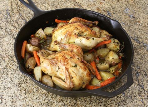 An Easy Recipe for Roasted Cornish Game Hens With Vegetables Cooking Cornish Hens, Game Hen Recipes, Cornish Game Hen Recipes, Cornish Game Hens, Spagetti Recipe, Cornish Hen Recipe, Game Hens, Cornish Game Hen, Game Hen