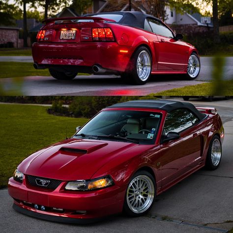 99-04 Mustang GT Mustang S197, Ford Fox, 04 Mustang, Sn95 Mustang, Surprise Date, 2004 Ford Mustang, Mustang Convertible, Cool Whip, Mustang Gt