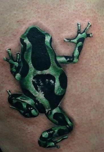 We will help you to discover the world of frog tattoos with 80+ designs and explore their deep symbolism and cultural significance in this tattoo guide. Poison Dart Frog Tattoo, African Frogs, Mantis Tattoo, Print Making Designs, Tree Frog Tattoos, Cobra Tattoo, Poison Frog, Whites Tree Frog, Amazing Frog